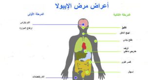 فيروس إيبولا يثير الرعب عالميا.. ارتفاع الوفيات وتحذيرات من تفشٍ جديد في إفريقيا
